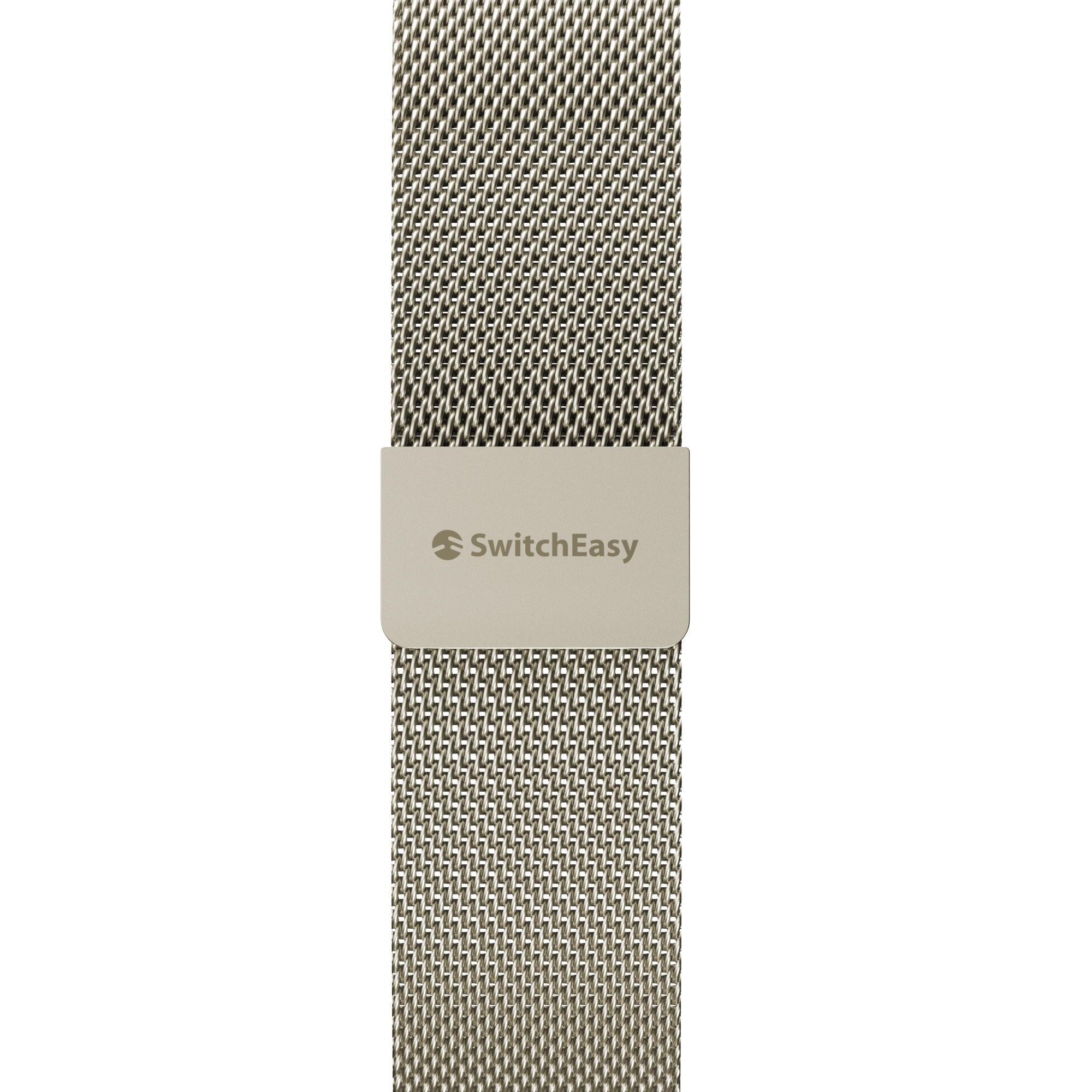 Mesh Stainless Steel Apple Watch Loop – SwitchEasy
